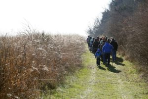 New Year's: group of people walking on a path with tall grass to the left