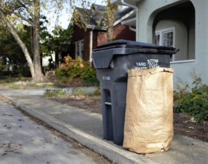 trash bin and grass bag on the curb