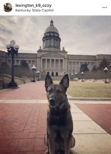 Lexington Community Corrections: a dog sitting in front of the capitol building