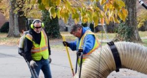 leaf collection: two men using a large vacuum to grab the leaves
