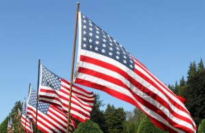 Memorial Day: flags with a clear blue sky