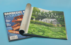 two magazines with a blue background