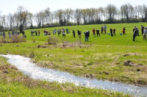 Branching Out: group of people in a field planting trees