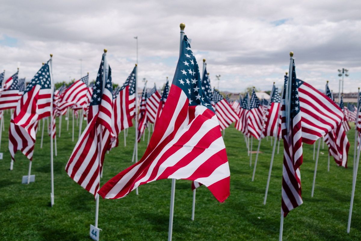 american flags in green grass